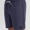 Rip Curl Bondi Volley Board Shorts