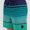 Dive Mully Shorts
